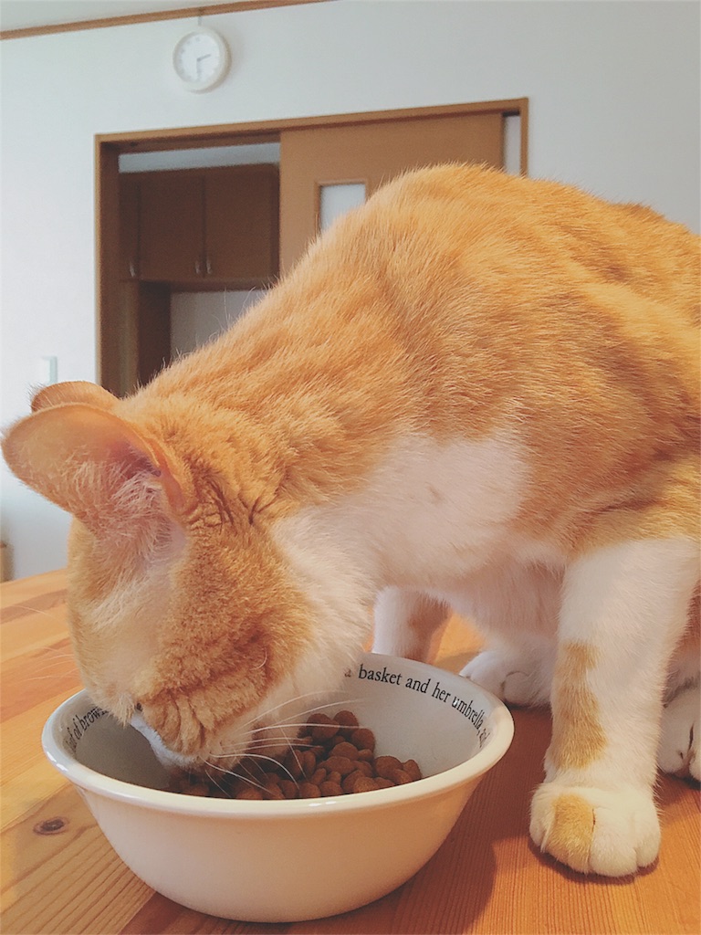 f:id:yukiko_tea:20170525081304j:image