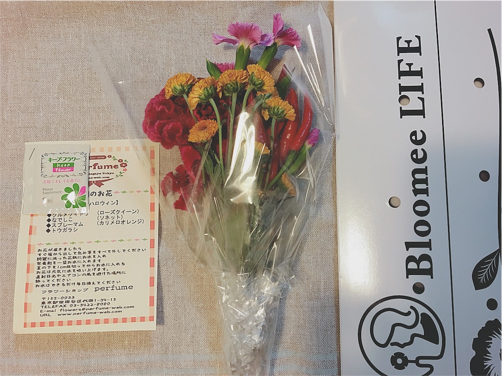 f:id:yukiko_tea:20161023125405j:image