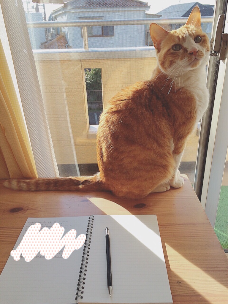 f:id:yukiko_tea:20160430103154j:image