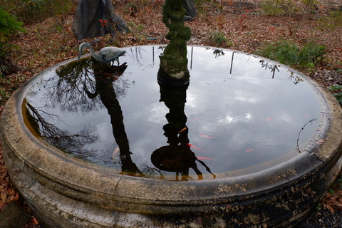 D94FBA51-40AE-4A67-BE23-3352C6AD50FD