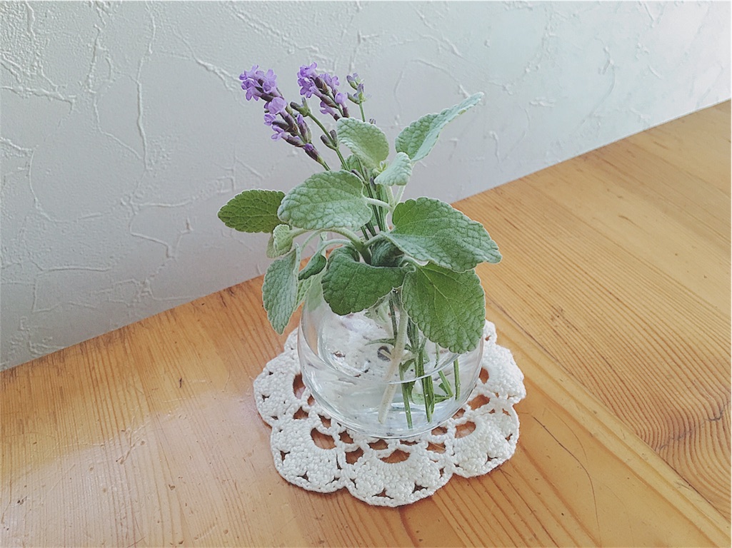 f:id:yukiko_tea:20160620110134j:image