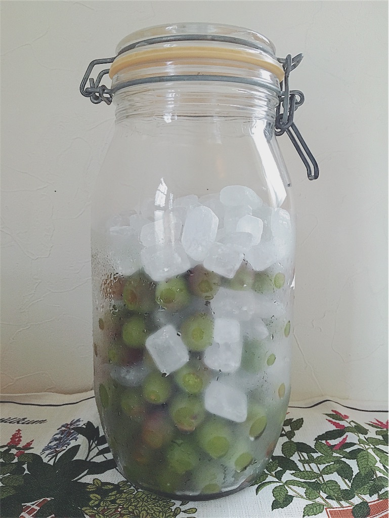 f:id:yukiko_tea:20170513074919j:image