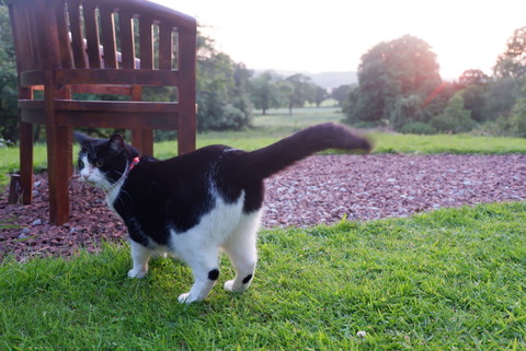 D317799C-C693-497B-AEE1-D2DE18217033_1_105_c