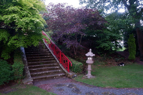 4AD48A75-CEB4-454E-803F-3BAD5C1EE06A_1_105_c