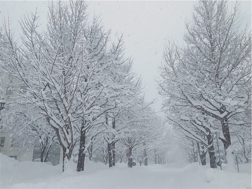 f:id:yukiko_tea:20161227184103j:image