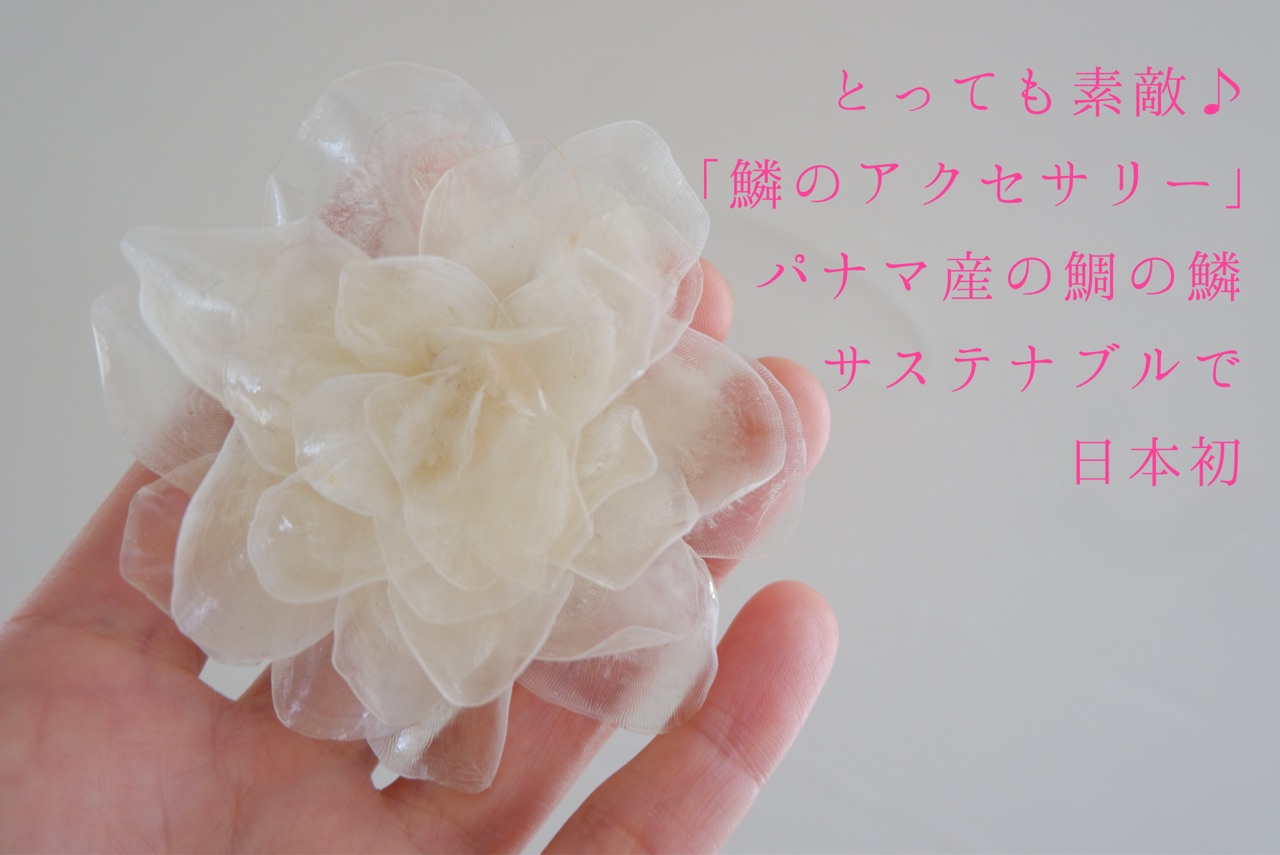 おすすめ 透明感のある 魚の鱗アクセサリー がとっても素敵 ゆとりあるシンプルな暮らし Powered By ライブドアブログ