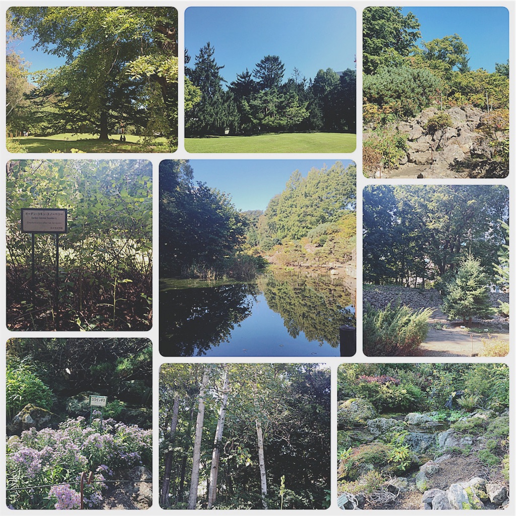 f:id:yukiko_tea:20160930234247j:image