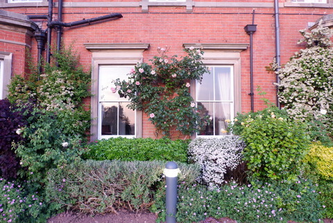 8599CA74-E5E4-4B40-B6CC-986C08366EAD_1_105_c