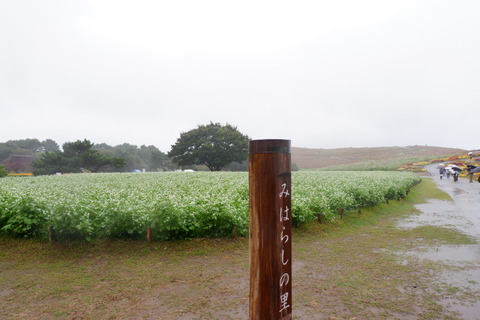 55B2B688-8F49-4FCF-999B-7B888B6D1FC2