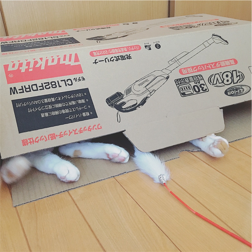 f:id:yukiko_tea:20160903141718j:image