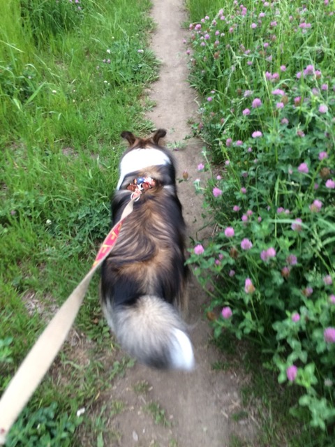 49313773-C6E7-44D3-BF2B-405F0DF557CE_1_105_c