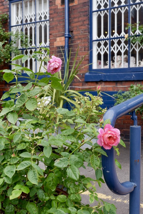 7E9D4DEF-E306-46DE-85F0-955A14495762_1_201_a