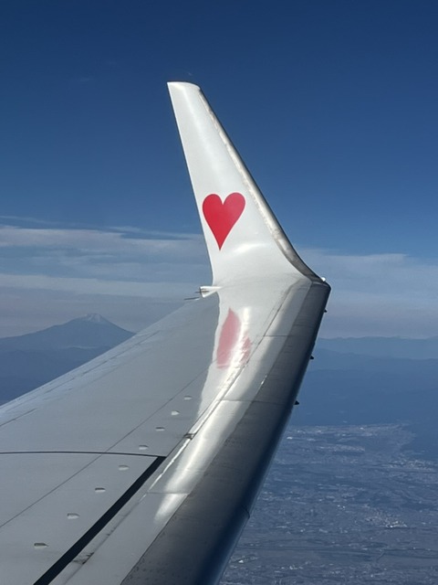 3C8AD267-B27F-4203-8A4E-19EB07AA635A_1_105_c