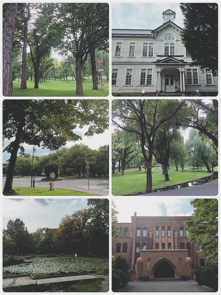 f:id:yukiko_tea:20160930104359j:image