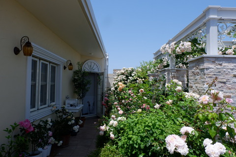 BC8246CD-42F8-4465-98F7-2086D0530890