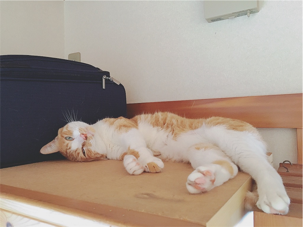 f:id:yukiko_tea:20160807132856j:image