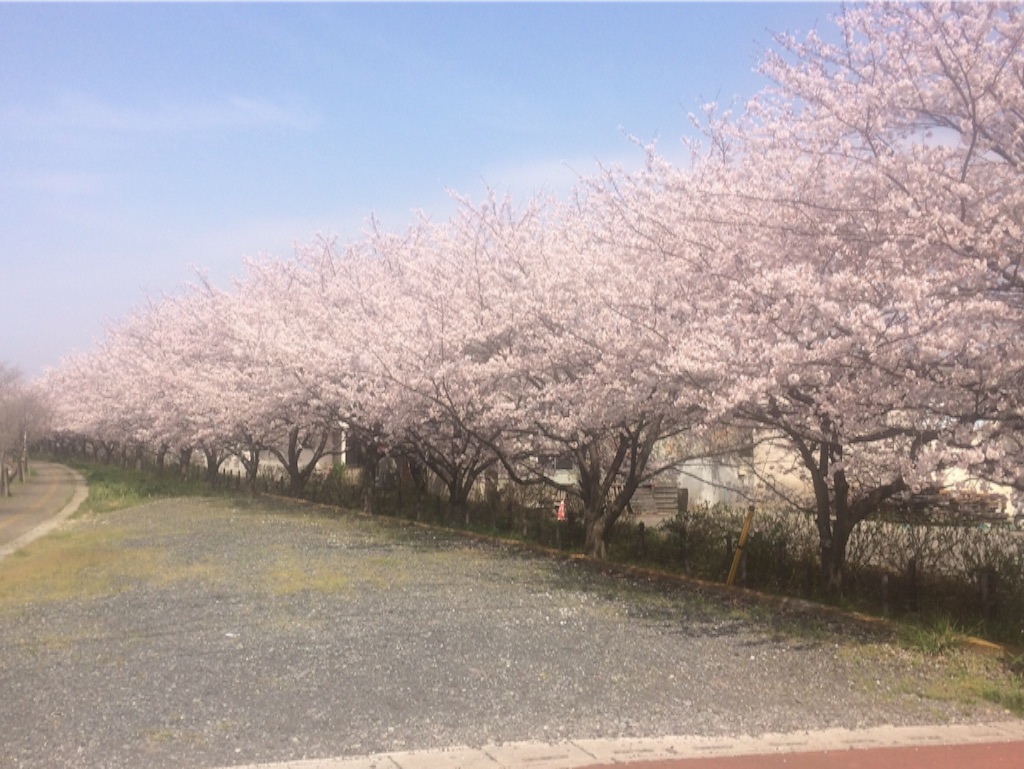 f:id:yukiko_tea:20160406122308j:image