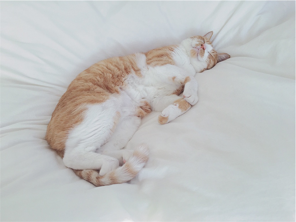 f:id:yukiko_tea:20161010213702j:image f:id:yukiko_tea:20161010213702j:image