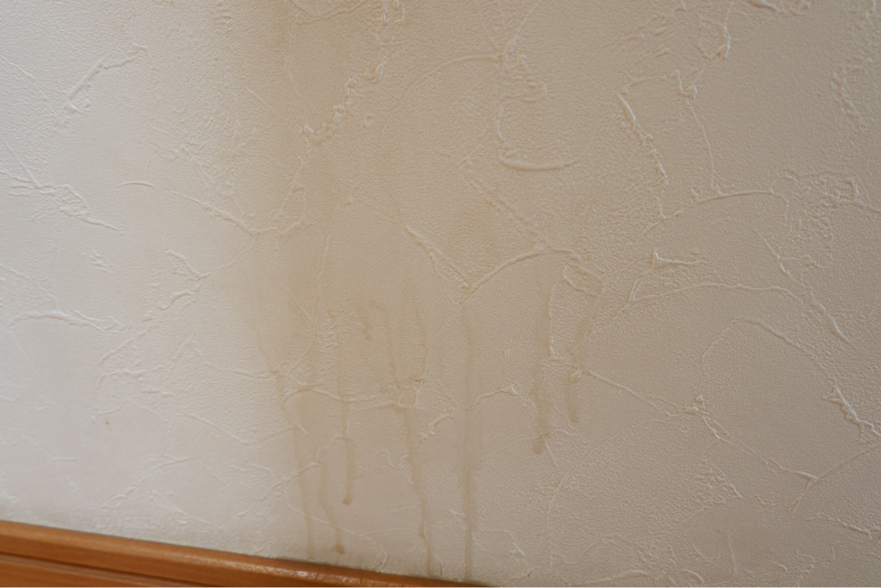 閲覧注意 壁紙の汚れが楽々取れる おすすめエコ洗剤 ゆとりあるシンプルな暮らし Powered By ライブドアブログ