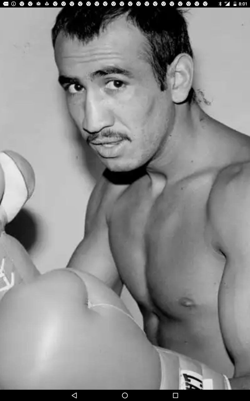 あしたのジョー はじめの一歩 ロマンサ の世界観 燃えよカーズ 怒りの鉄拳 脂肪遊戯