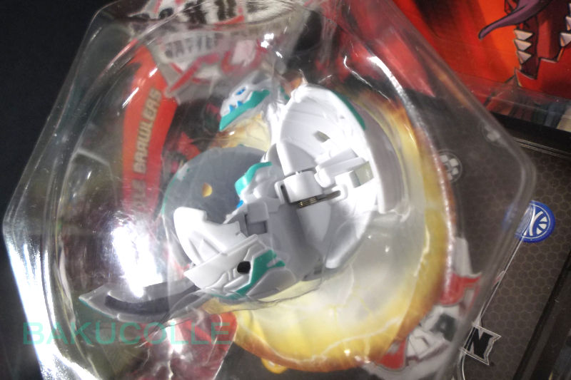 DSCF2675