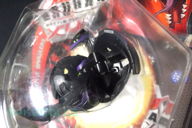 DSCF2669
