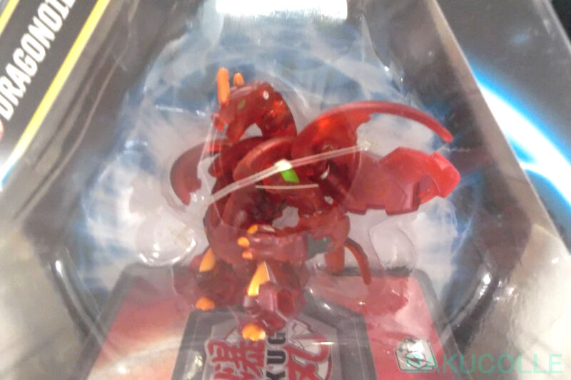 DSCF7404