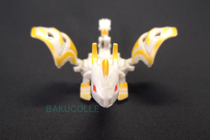 DSCF5580