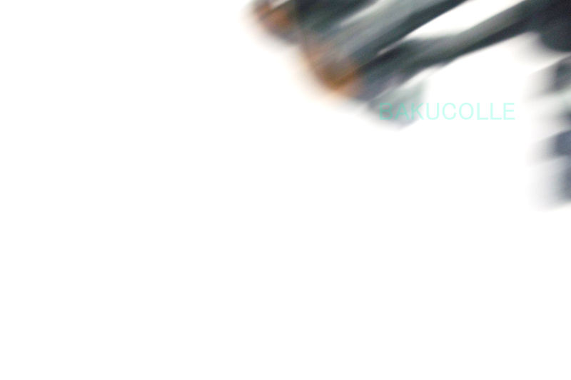 DSCF7548