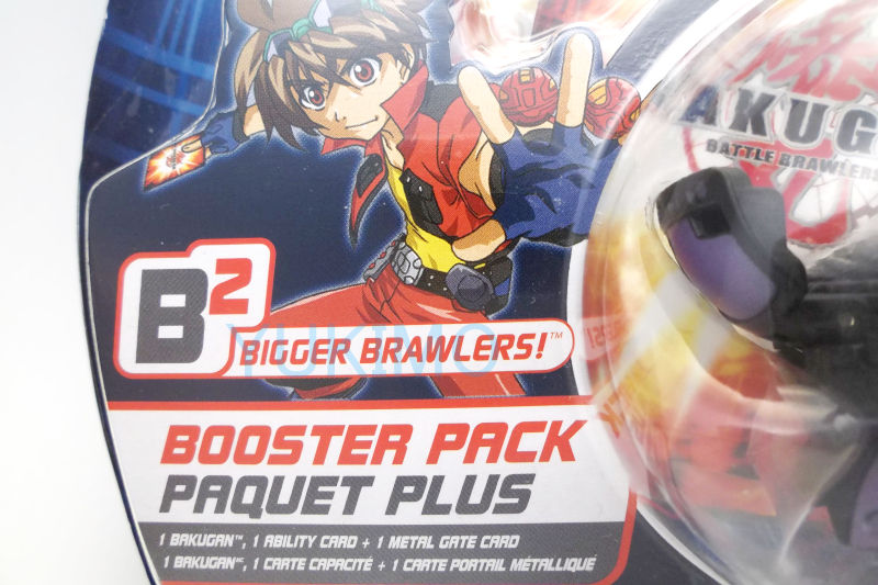 DSCF3841