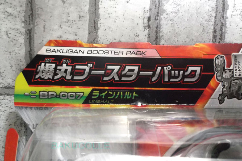 DSCF7600
