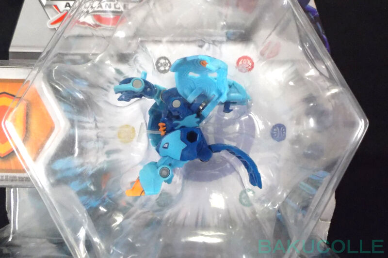 DSCF9528