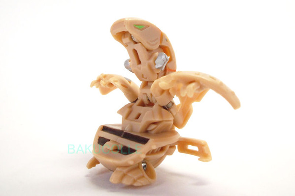 DSCF4794