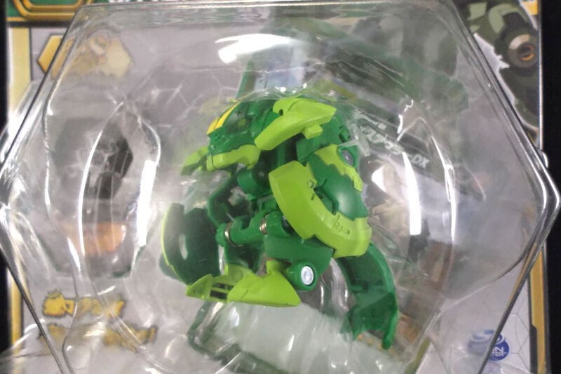 DSCF8575