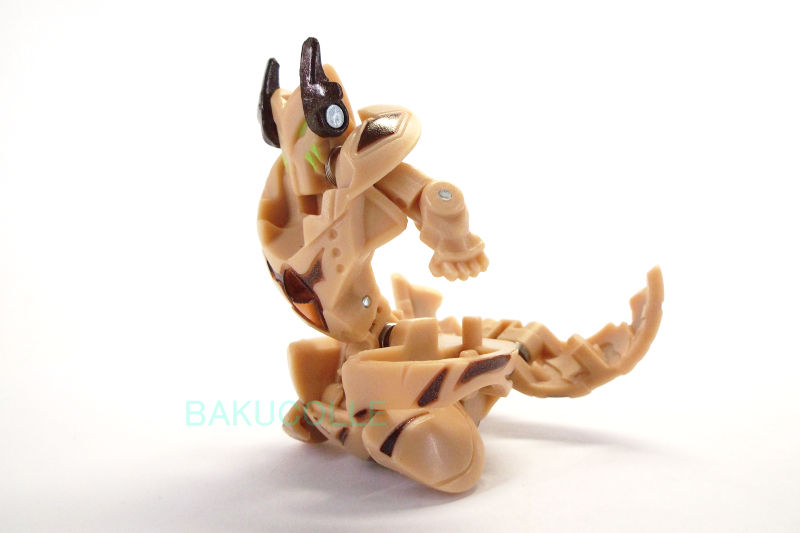 DSCF4851
