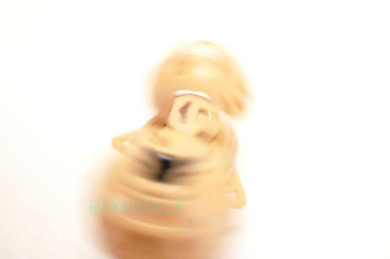DSCF5268