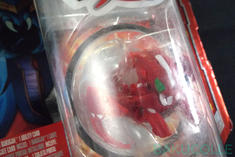 DSCF5195