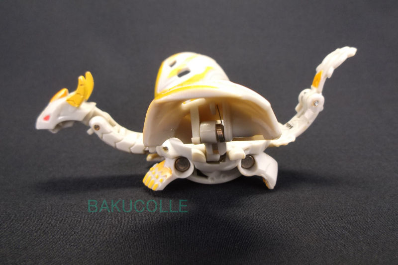 DSCF5582