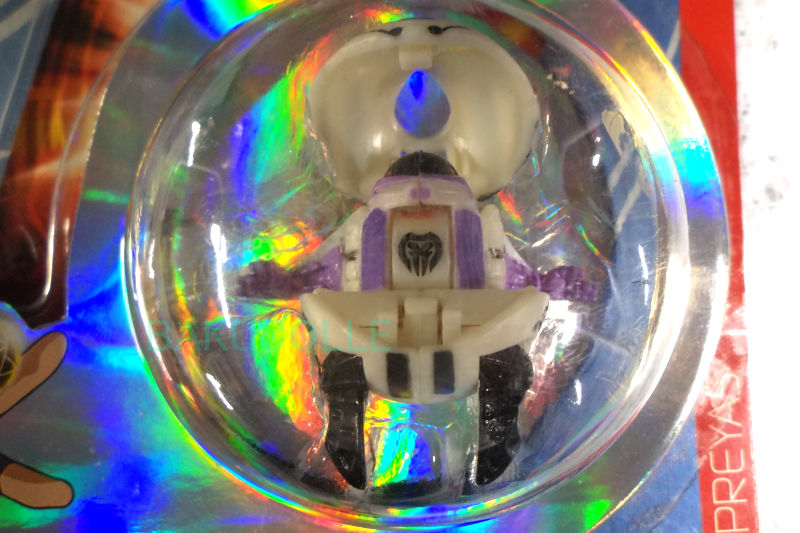 DSCF8548