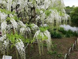 IMG_20220424_110130