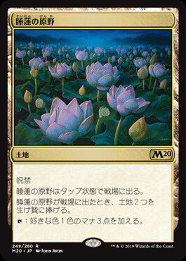 lotus-field
