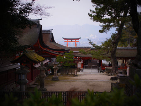 R0016608