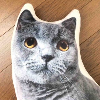 ニトリ 可愛くて癒し系なモチモチ猫さんクッション フツウノコト ニトリ 可愛くて癒し系なモチモチ猫さんクッション フツウノコト