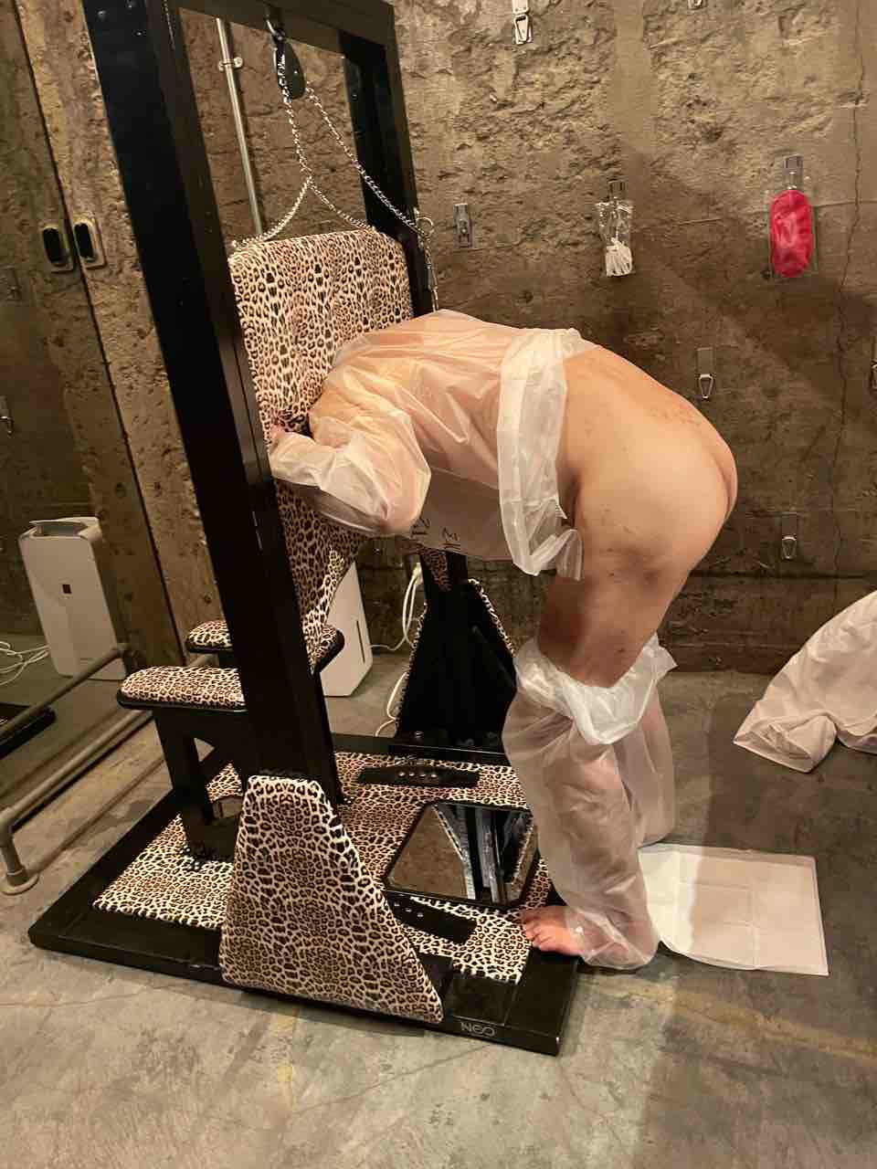 Japanesemistress YUKINO(Dr.YUKINO)'s blog(レズ調教可)