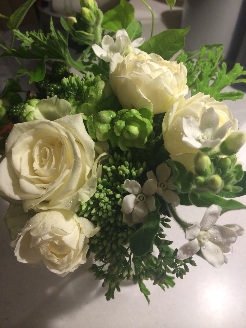 ル ベスベ 菊間千乃 Official Blog