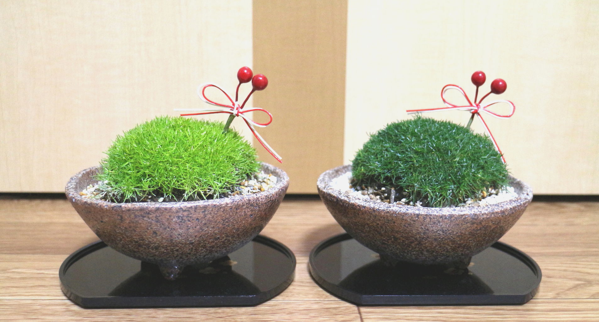 花の器 グリーン 三足ボウル もふリッチ 2色 お正月バージョン 雪 の う さ ぎ