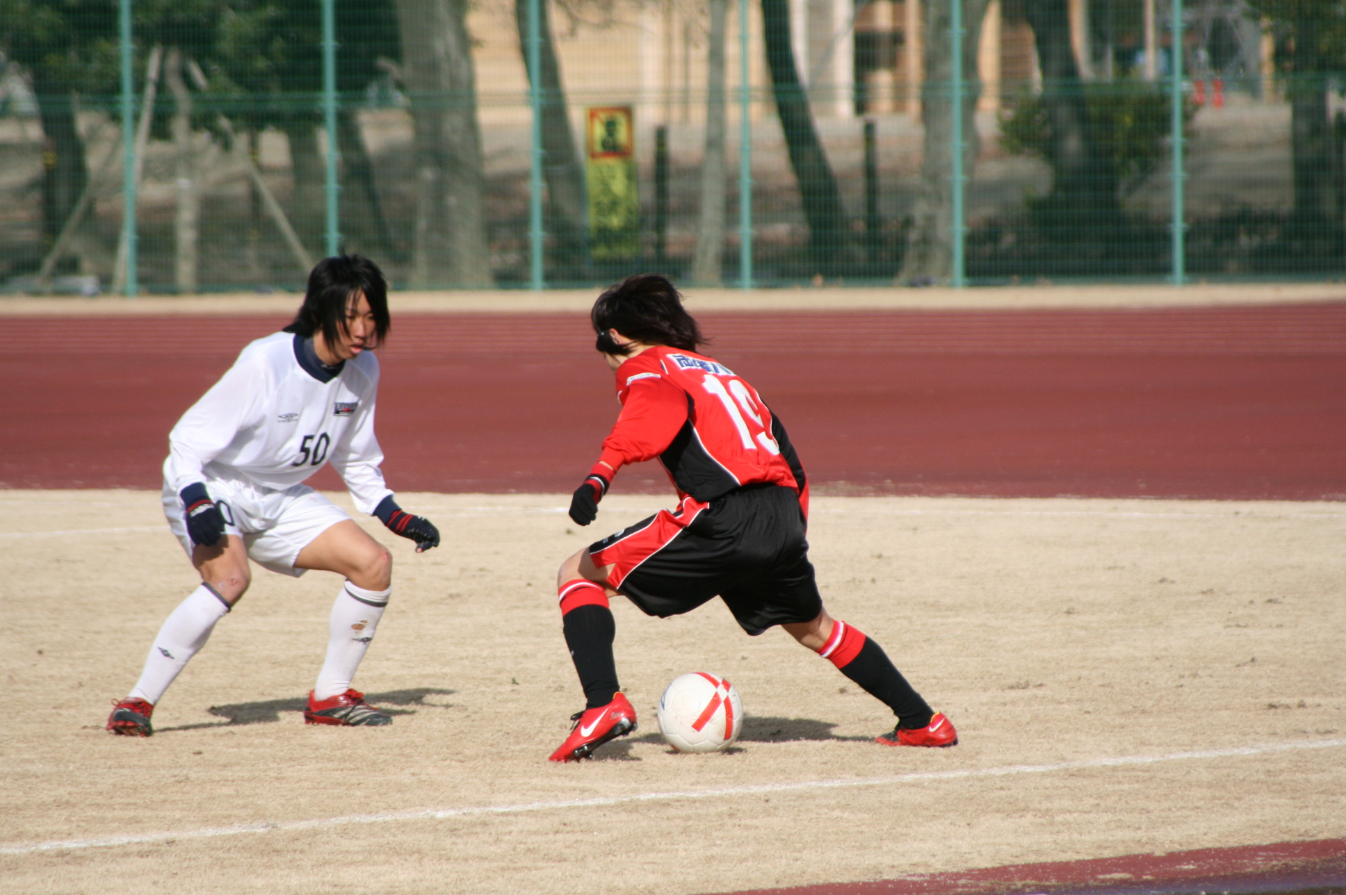 デジカメ買ったよ Blog 日々の想い