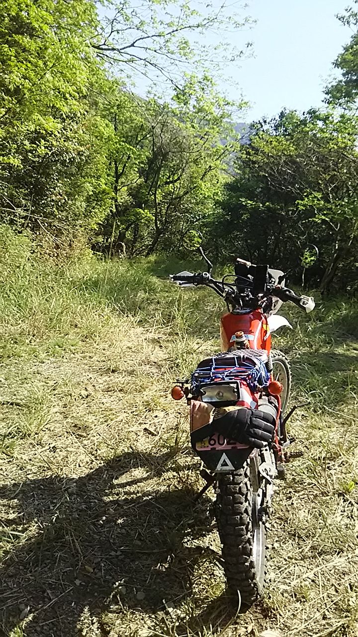 オフ車に乗りたくなる画像が集まってくるスレ ゆきききぃぃぃいいいいー オフ車に乗りたくなる画像が集まってくるスレ ゆきききぃぃぃいいいいー