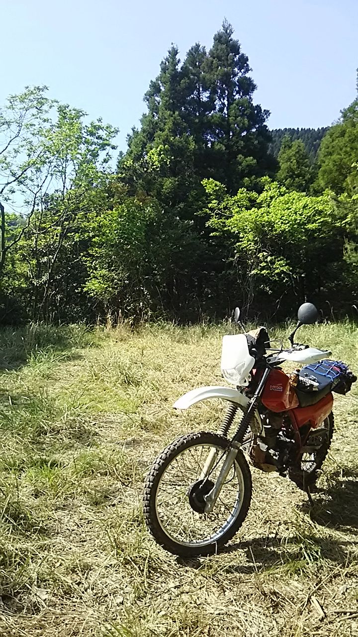 オフ車に乗りたくなる画像が集まってくるスレ ゆきききぃぃぃいいいいー オフ車に乗りたくなる画像が集まってくるスレ ゆきききぃぃぃいいいいー