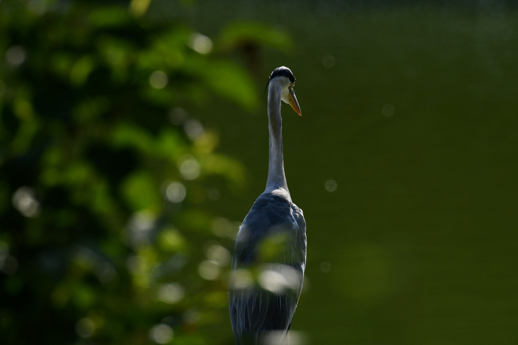 D5003_085216